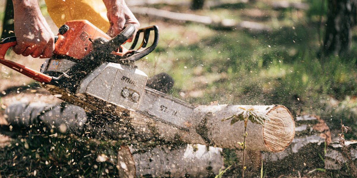 Zeit zum Baumschnitt